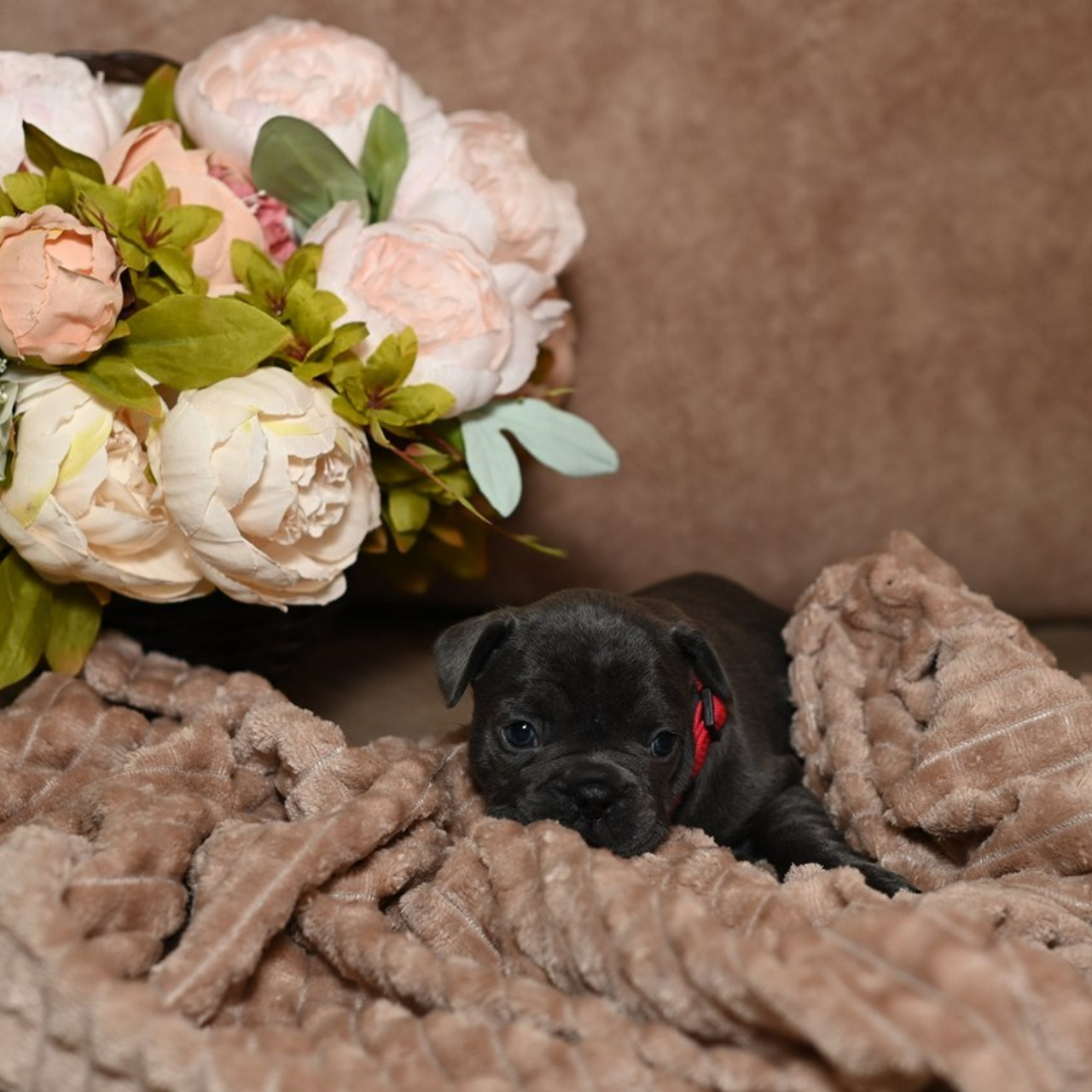 Отзывы. Семейный и детский фотограф в городе Грязи Олеся Огурцова