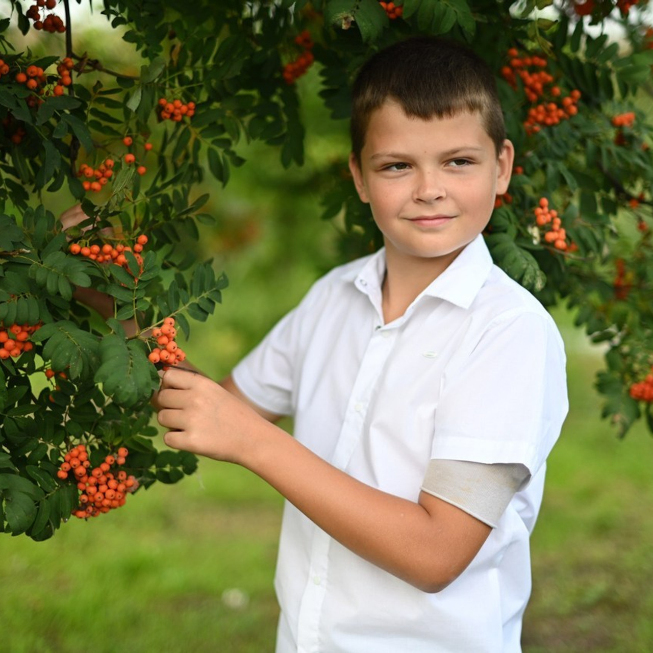 Отзывы. Семейный и детский фотограф в городе Грязи Олеся Огурцова