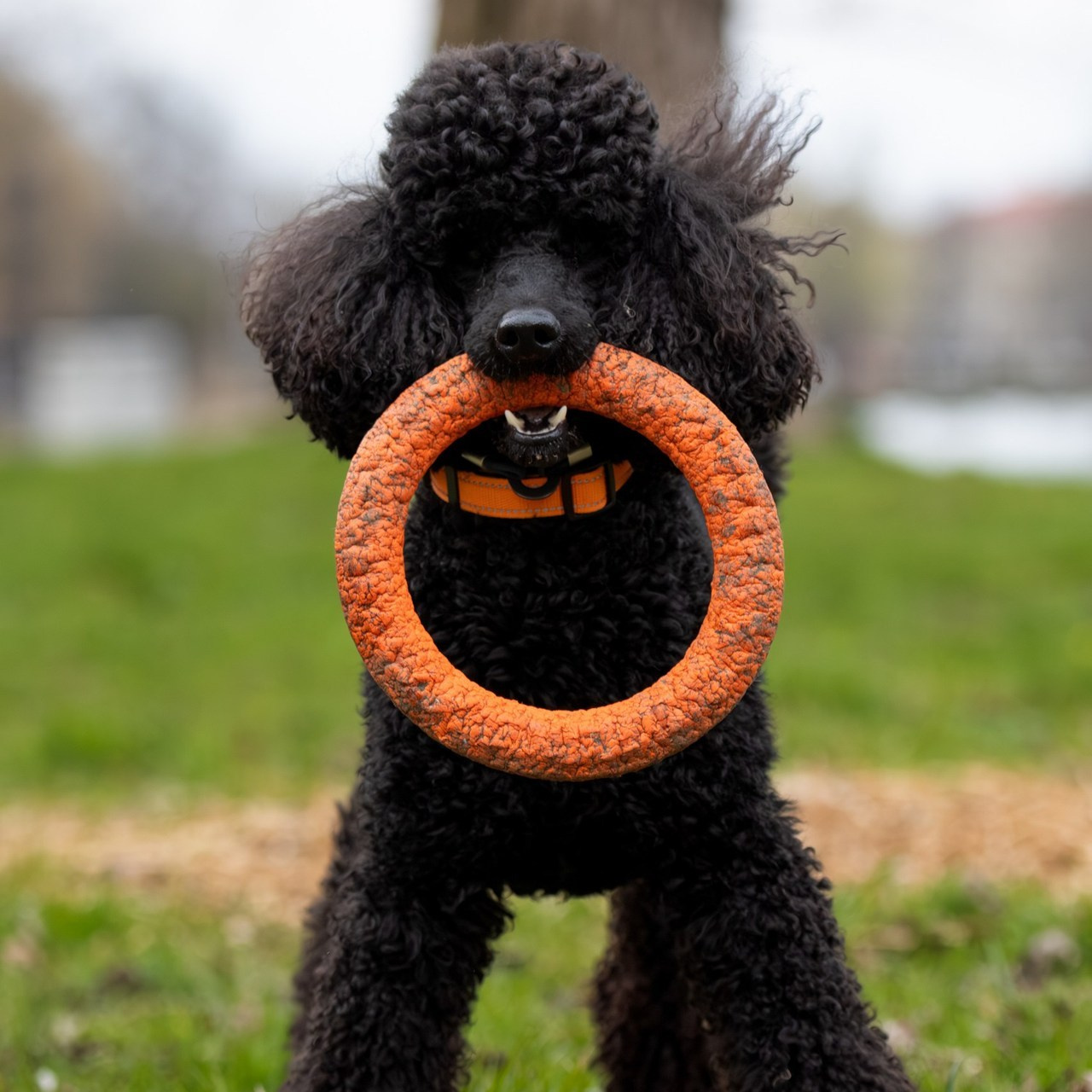 О Т З Ы В Ы. — Digital Noise —