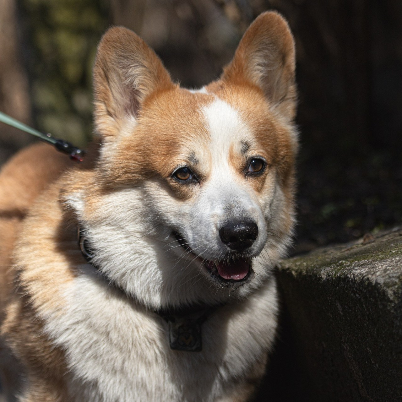 О Т З Ы В Ы. — Digital Noise —