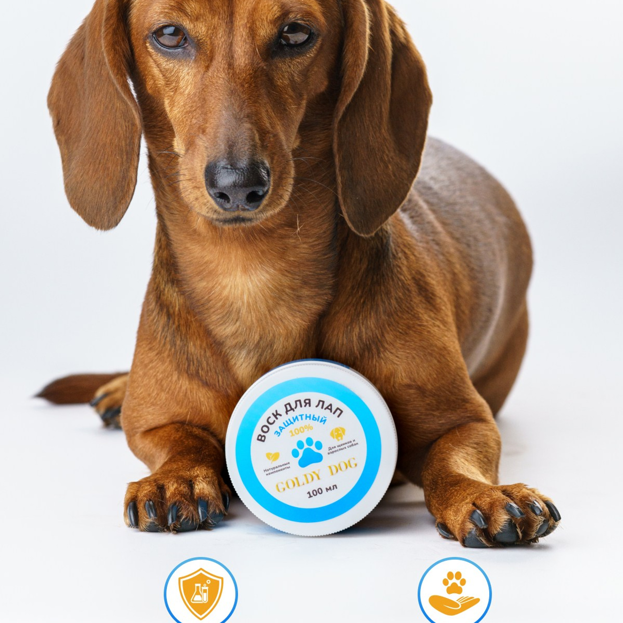 Такса Марго