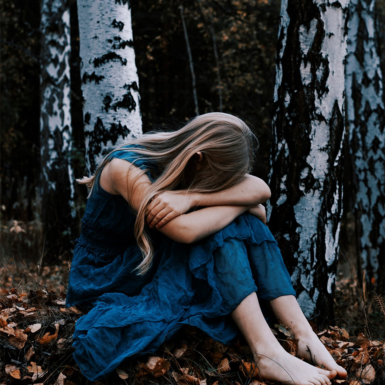 Сумерки Эльфа