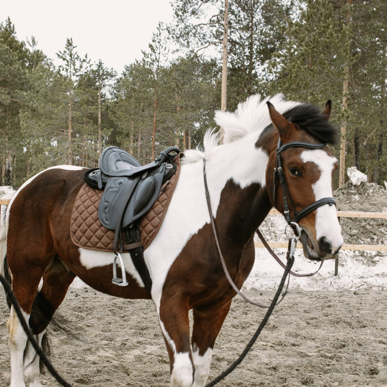 Отзывы. Женский и семейный фотограф в Сургуте Ольга БорОдько