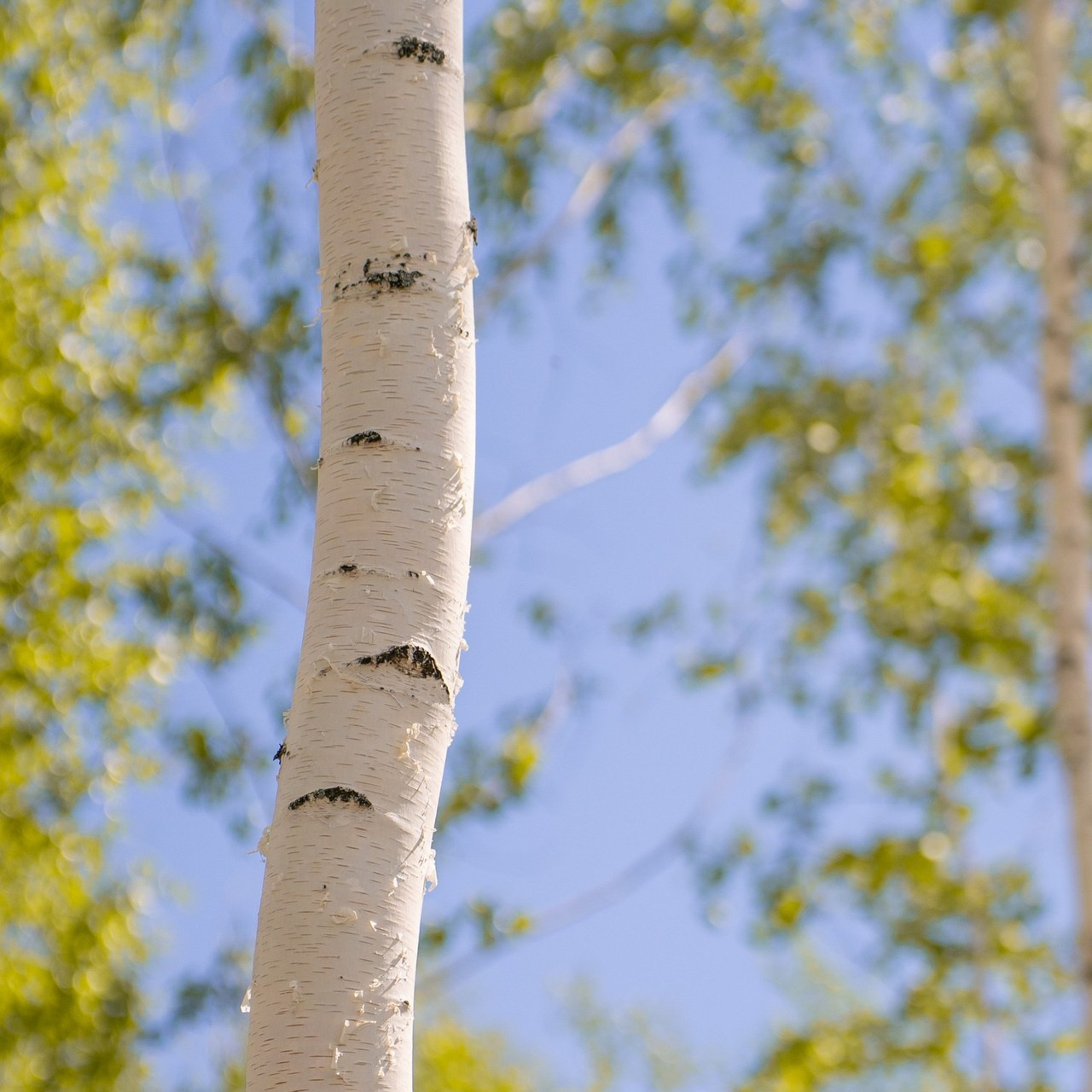 Отзывы. Маслухин Дмитрий — Ваш Фотограф
