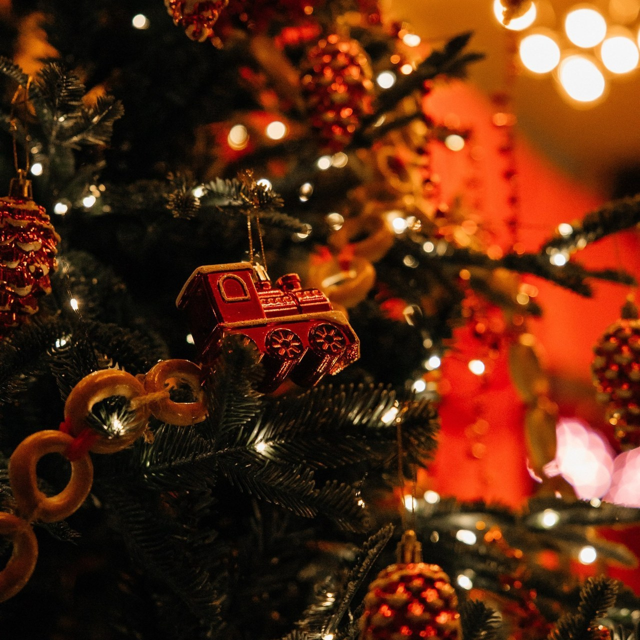 Отзывы. Свадебный фотограф Тамбов, Москва, Санкт-Петербуг Ксения Плотникова