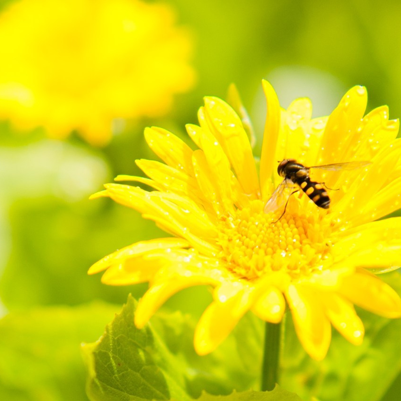 Отзывы. Фотограф из Кемерово Анна Диль