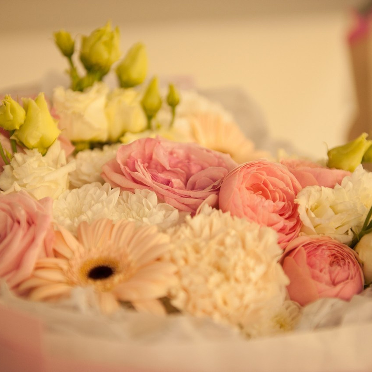 Отзывы. Фотограф из Кемерово Анна Диль