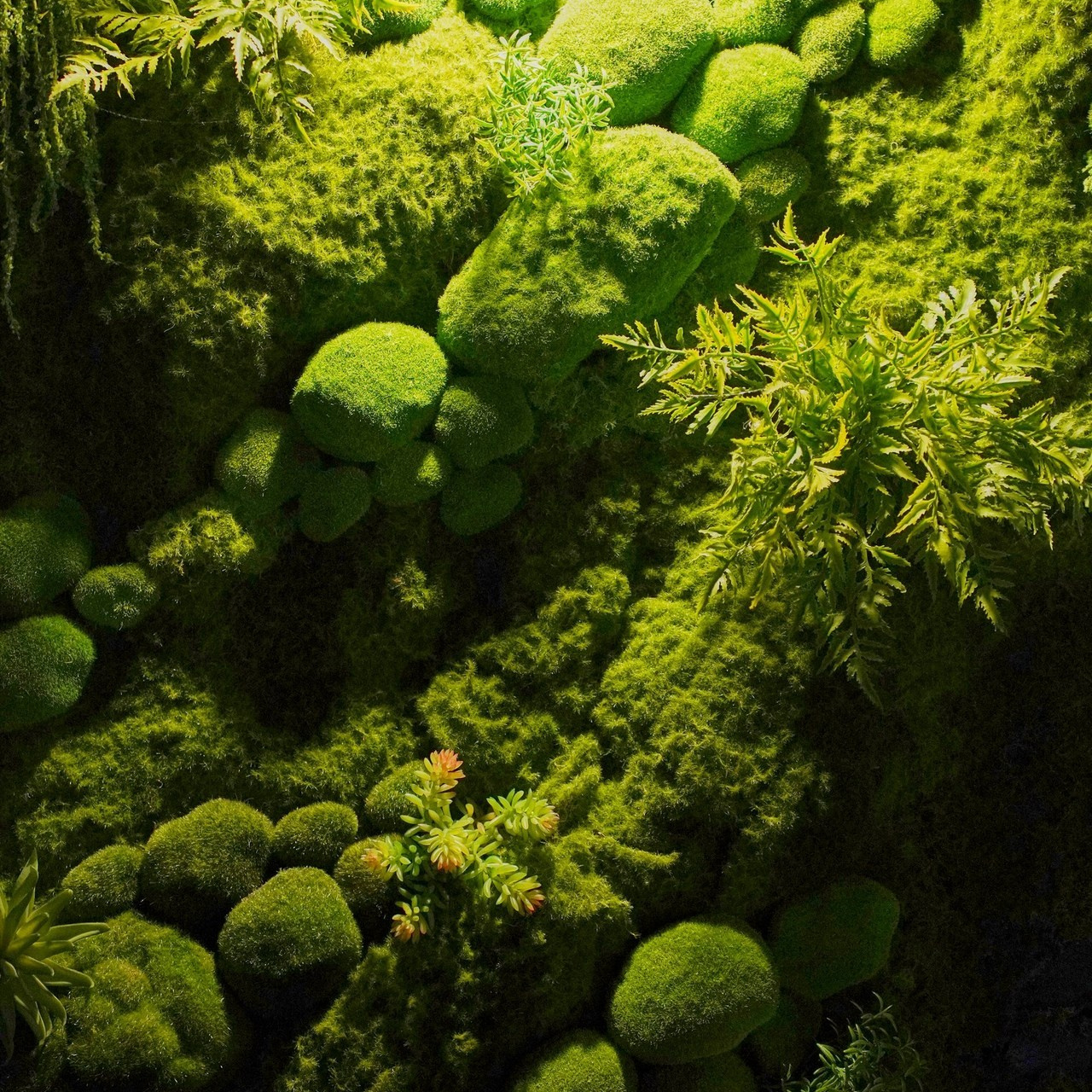 Отзывы. Универсальный фотограф в Геленджике Сидорина Кристина