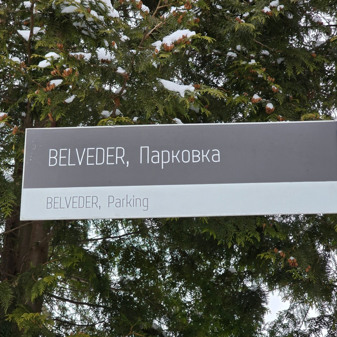 Отзывы. Свадебный и репортажный фотограф МОСКВА