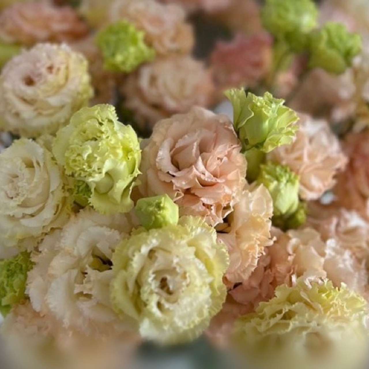 Отзывы. Настасья Перова Фотограф