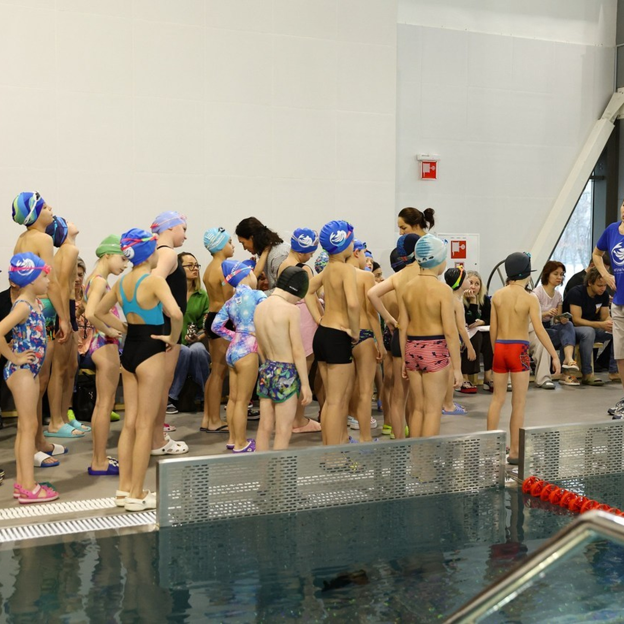 Отзывы. Семейный фотограф Елизавета Лопотухина город Москва