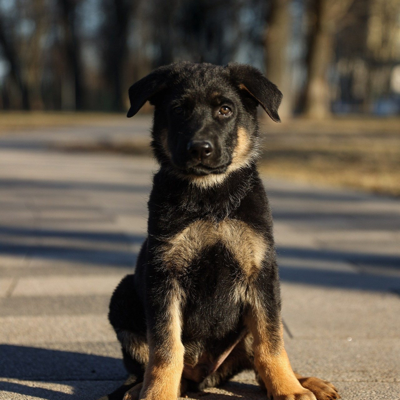 Отзывы. Семейный фотограф Елизавета Лопотухина город Москва