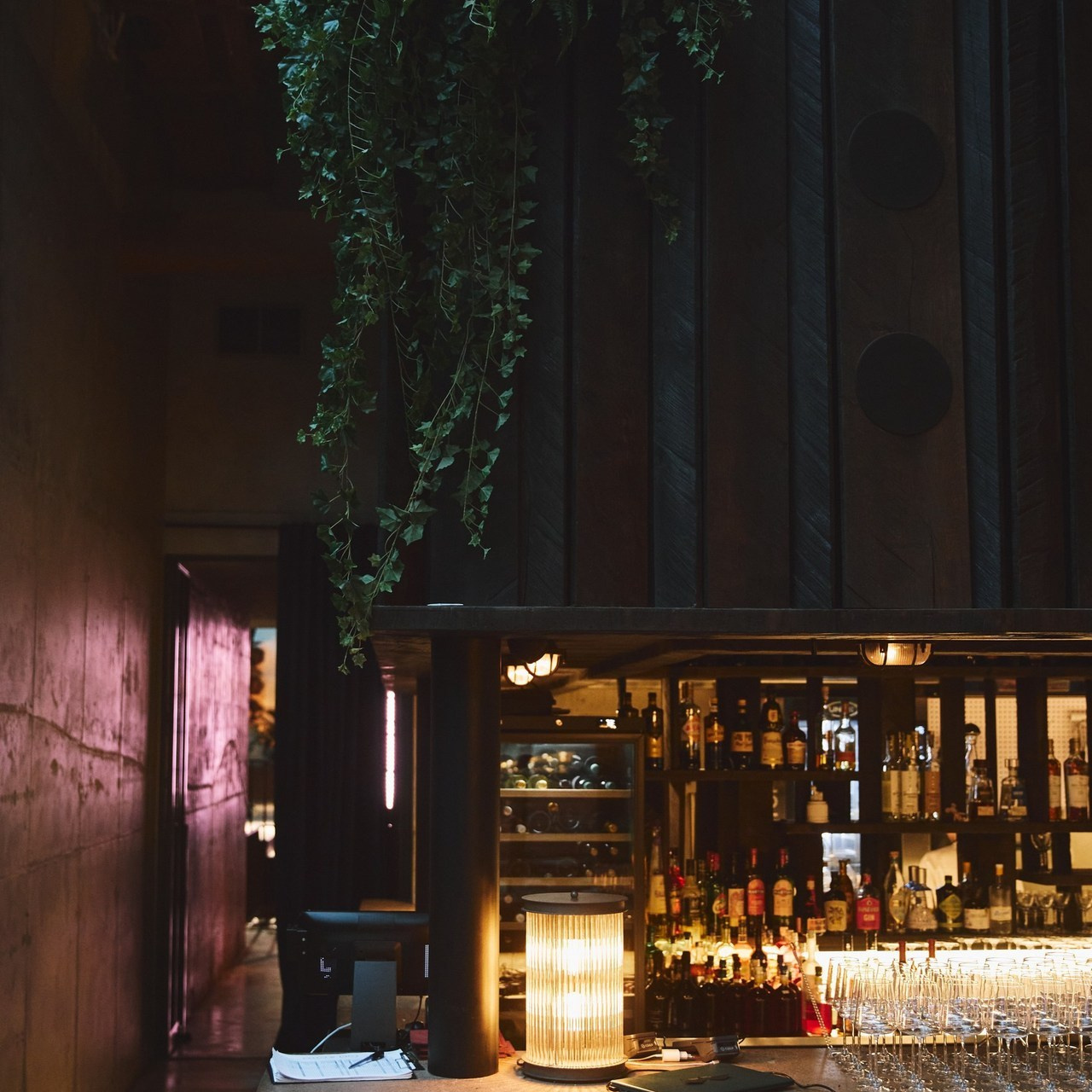 Благодарности. Александр Чернин. Семейный и событийный фотограф