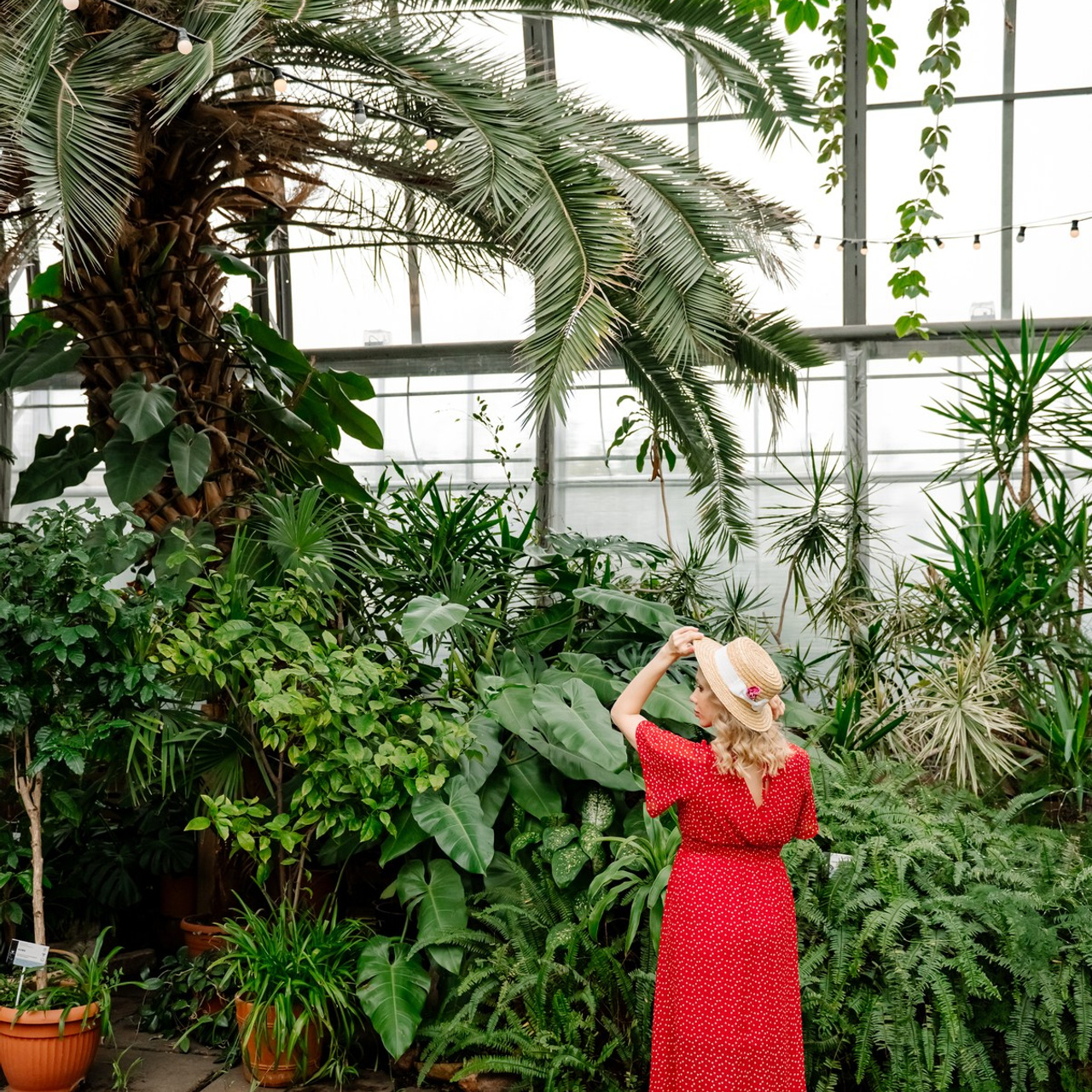 В Оранжерее