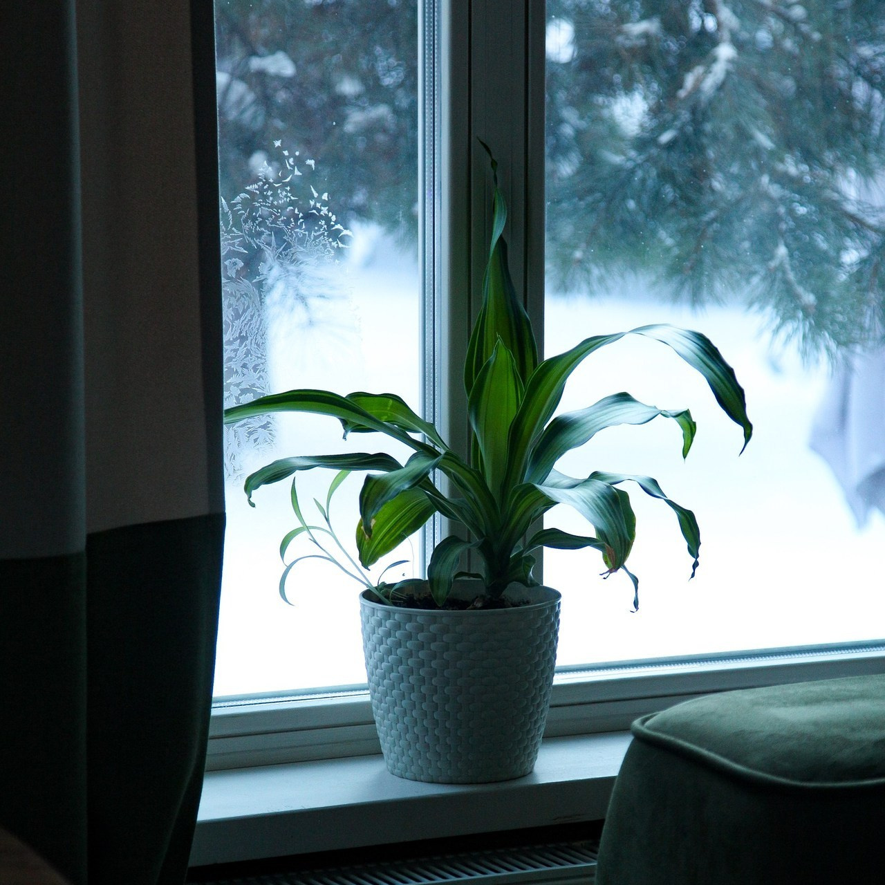 Отзывы. Фотограф в Екатеринбурге Полина Гмызина