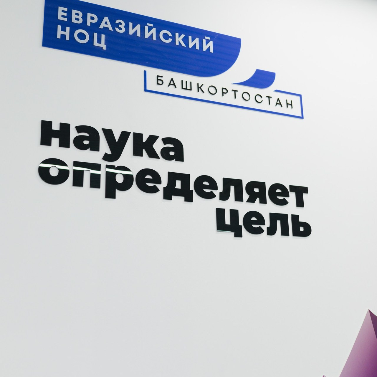 Отзывы. Семейный фотограф в Уфе и Ишимбае Алина Мустафина