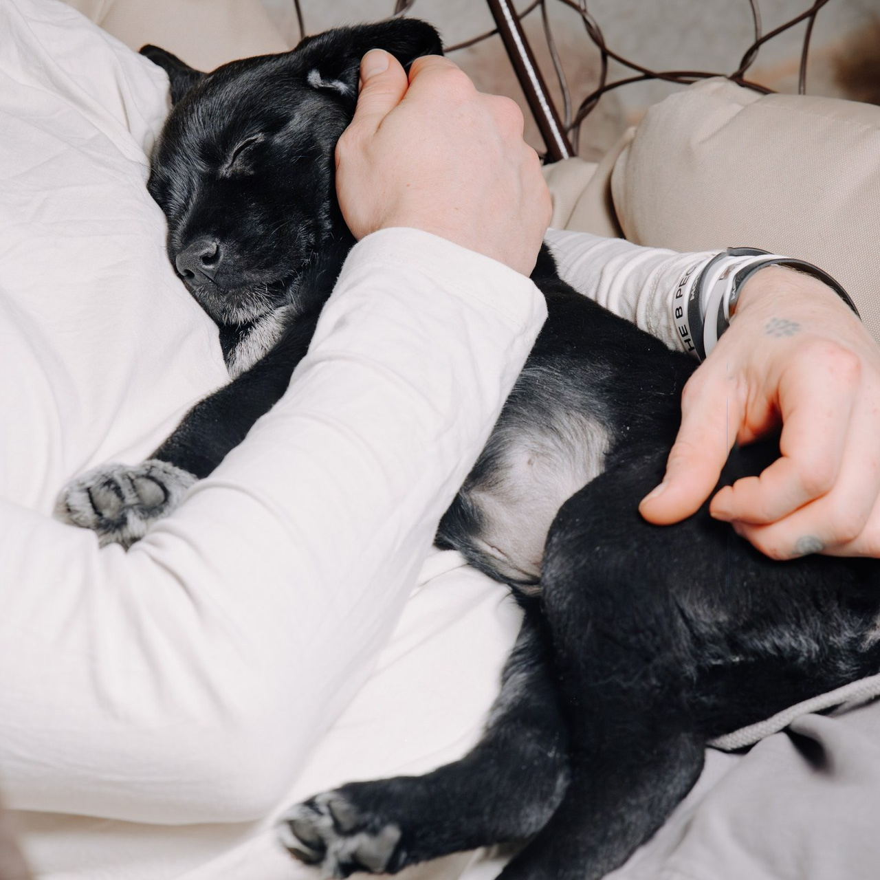 Отзывы. Коммерческий фотограф в Санкт-Петербурге Анна Кобзарь