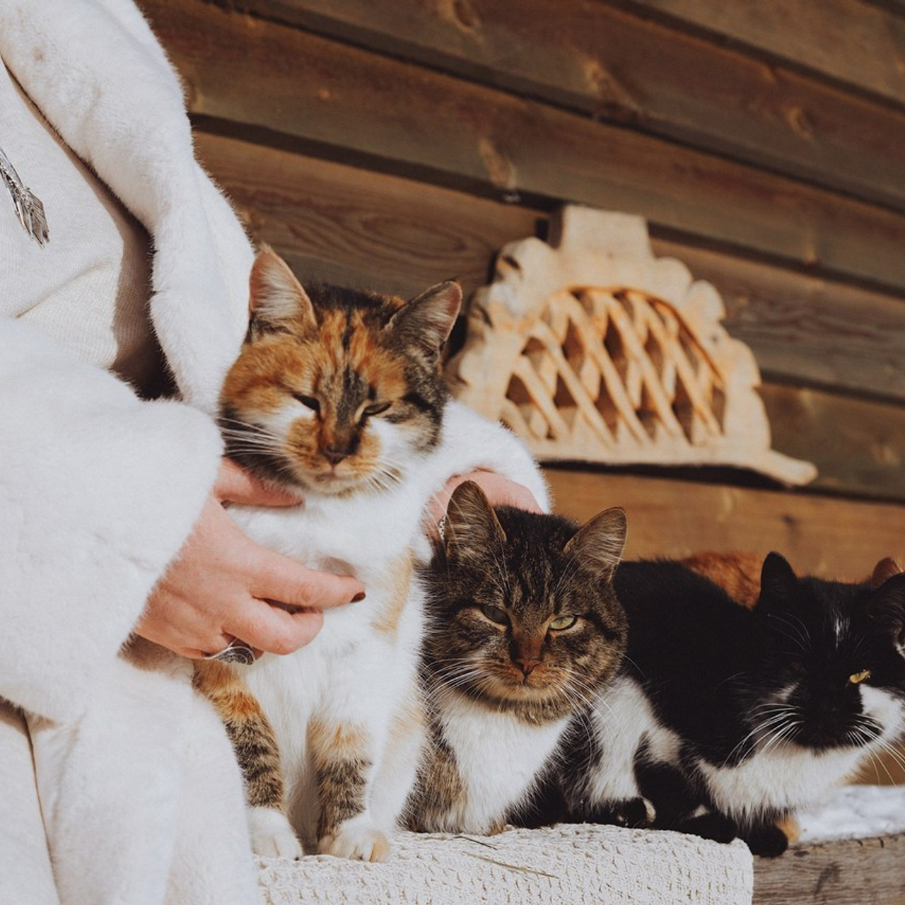 Отзывы. Фотограф Сибирика (Ирина Кузнецова), Санкт-Петербург и ЛО — портреты, свадьбы и семейные съемки. Творческий подход и качественные фото