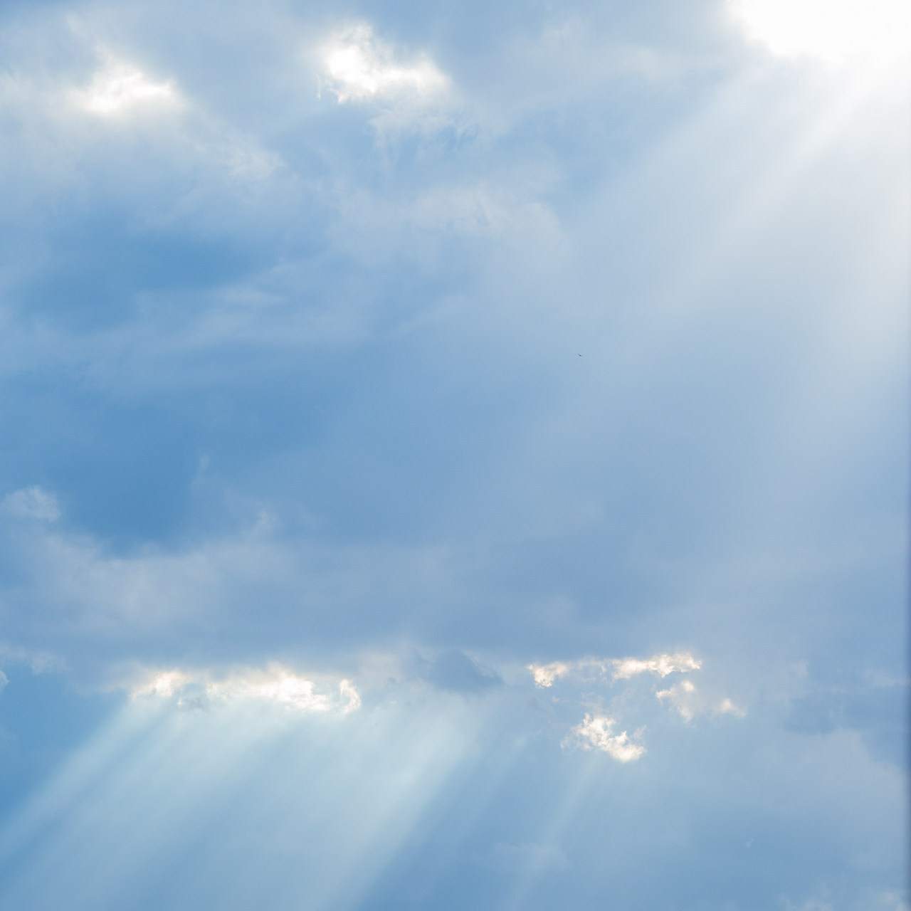 Отзывы. Фотограф Юлия Гросс