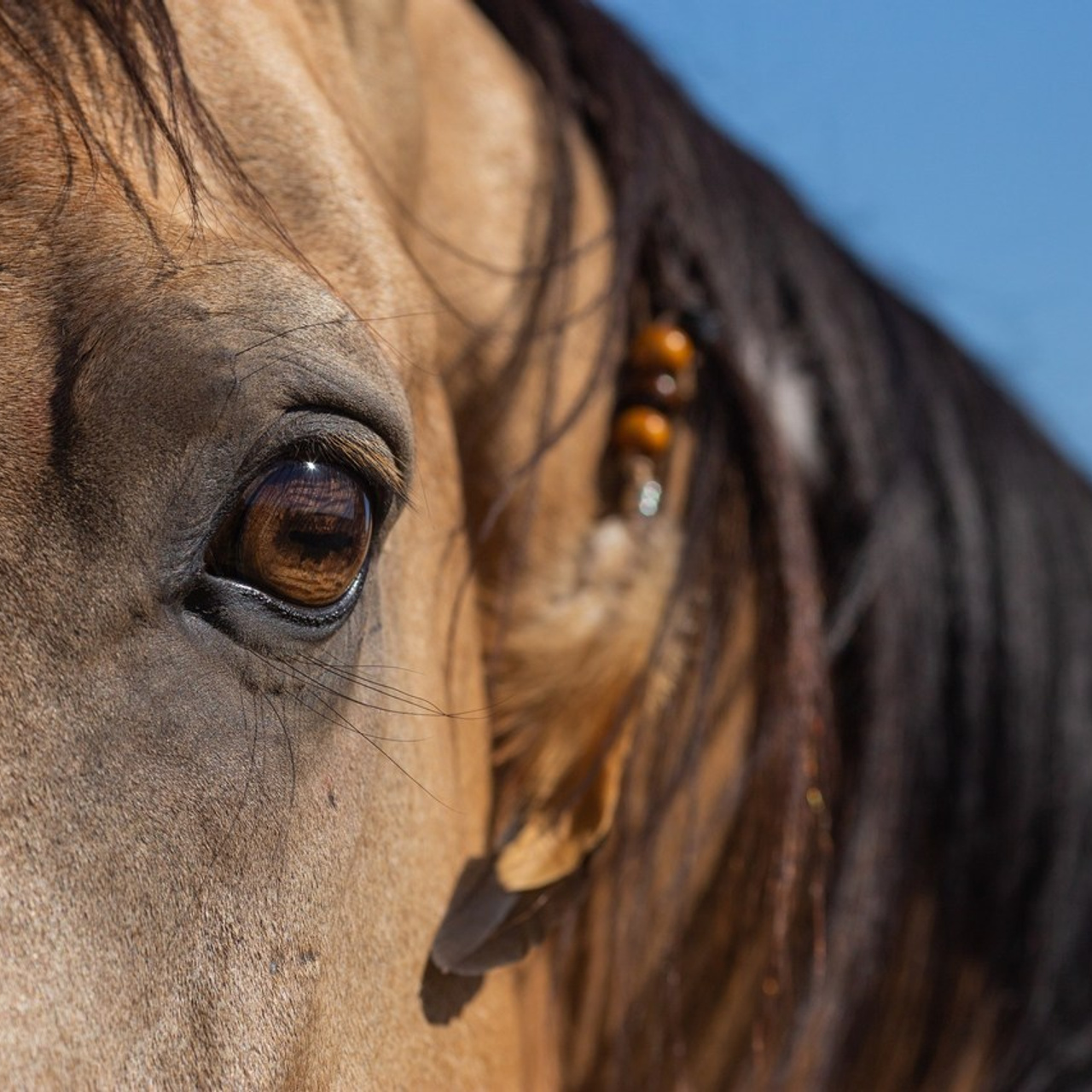Отзывы. Фотограф Юлия Гросс