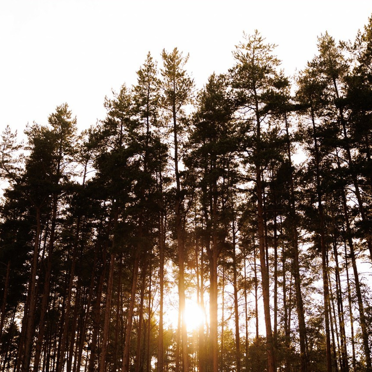 Отзывы. Photographer Sasha Orlov