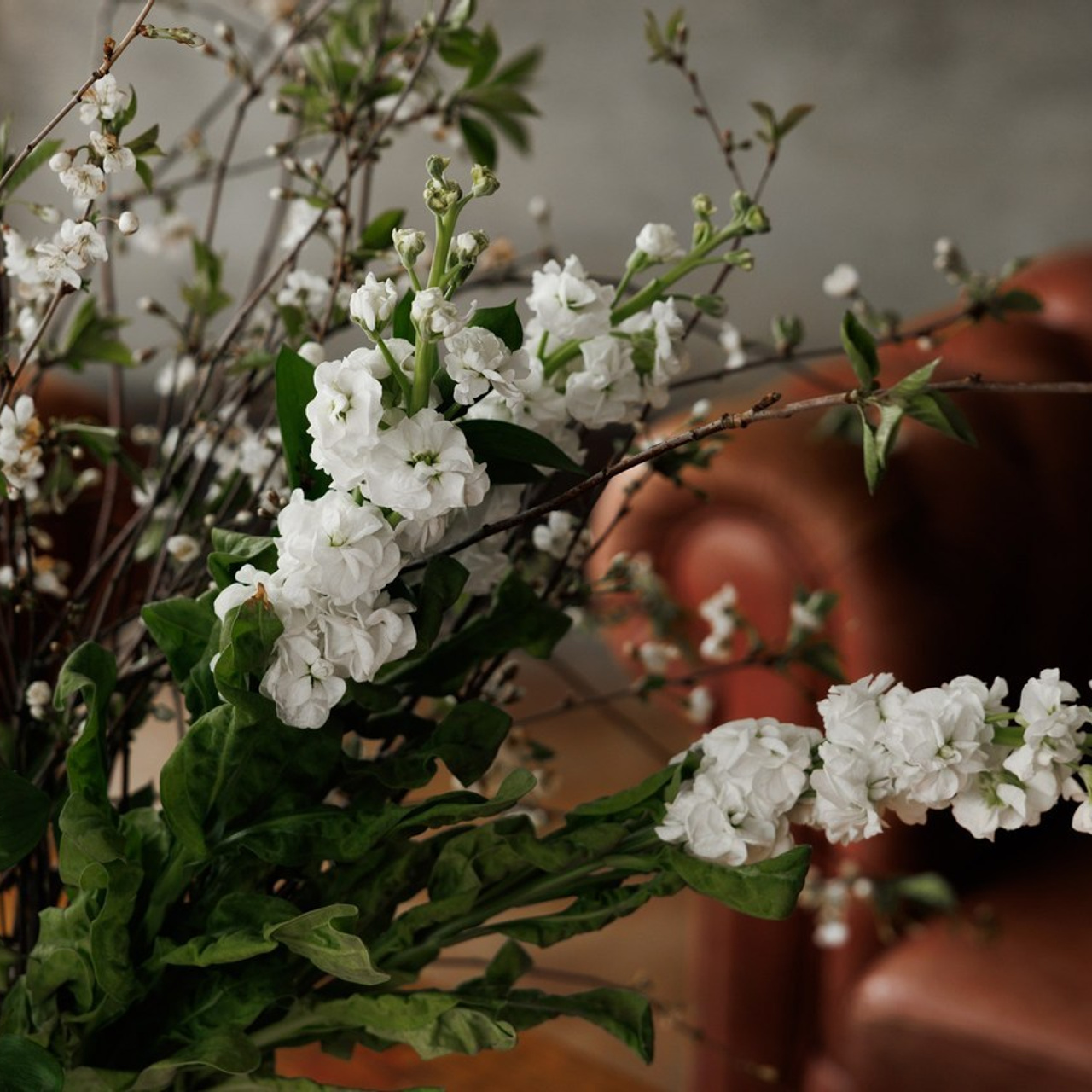 Отзывы. Photographer Sasha Orlov