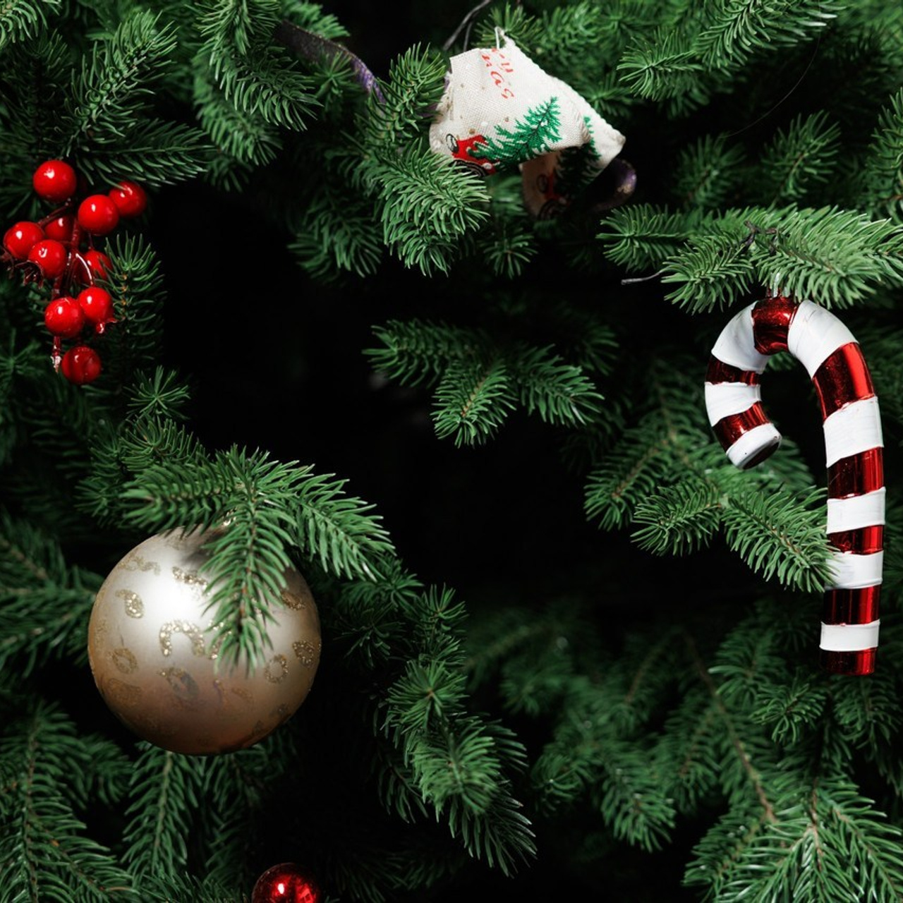 Отзывы. Photographer Sasha Orlov