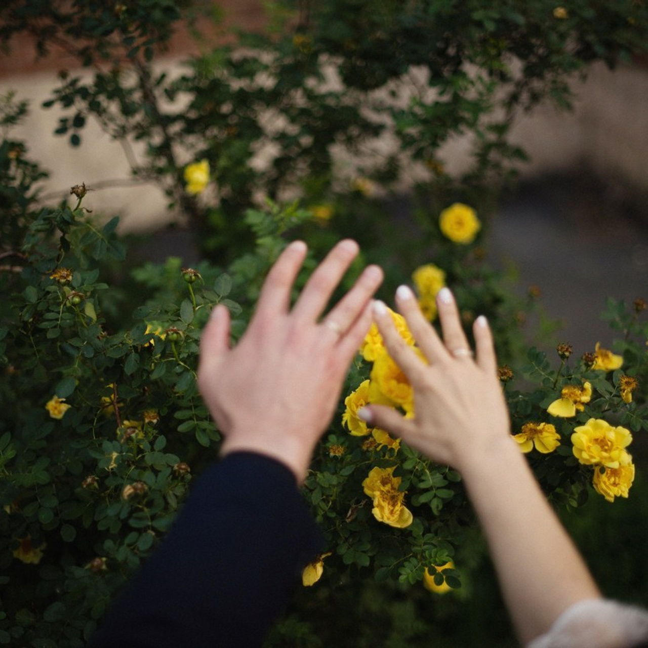 Отзывы. Главная