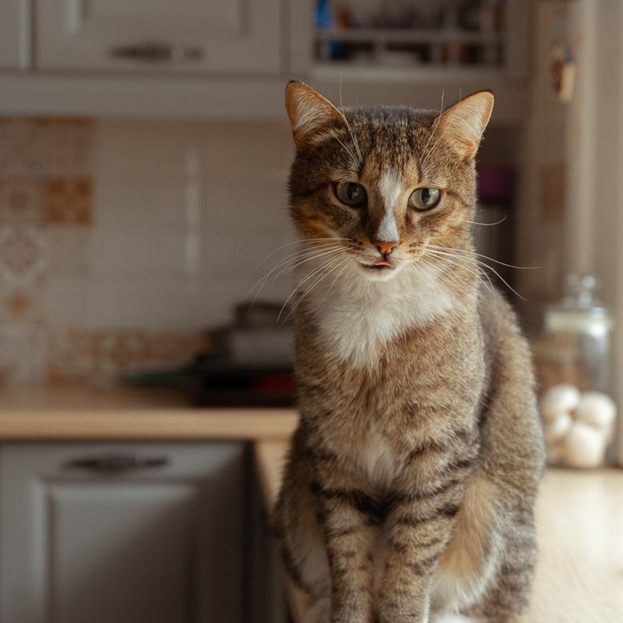 Отзывы. Семейный фотограф Тюмень