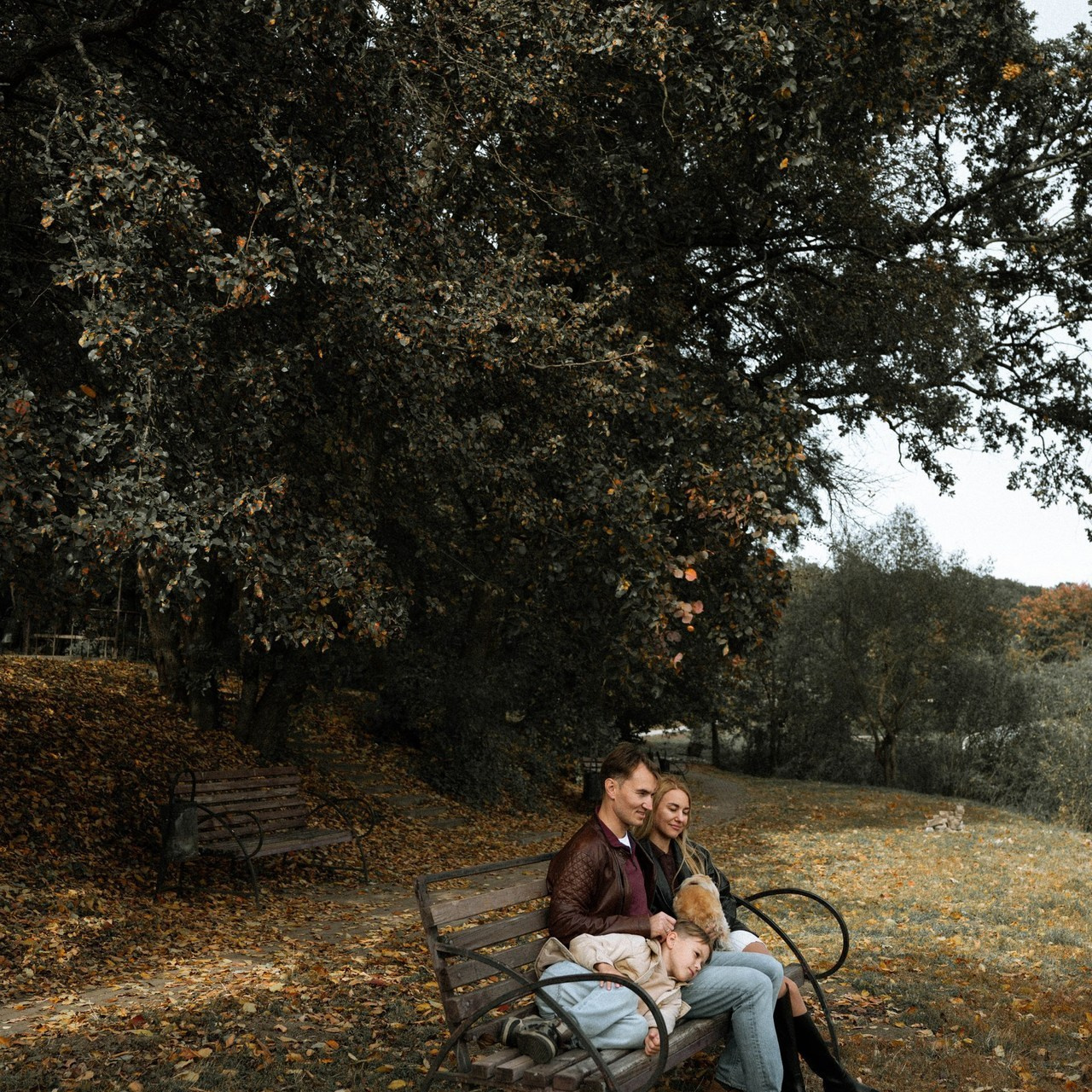 Отзывы. Главная