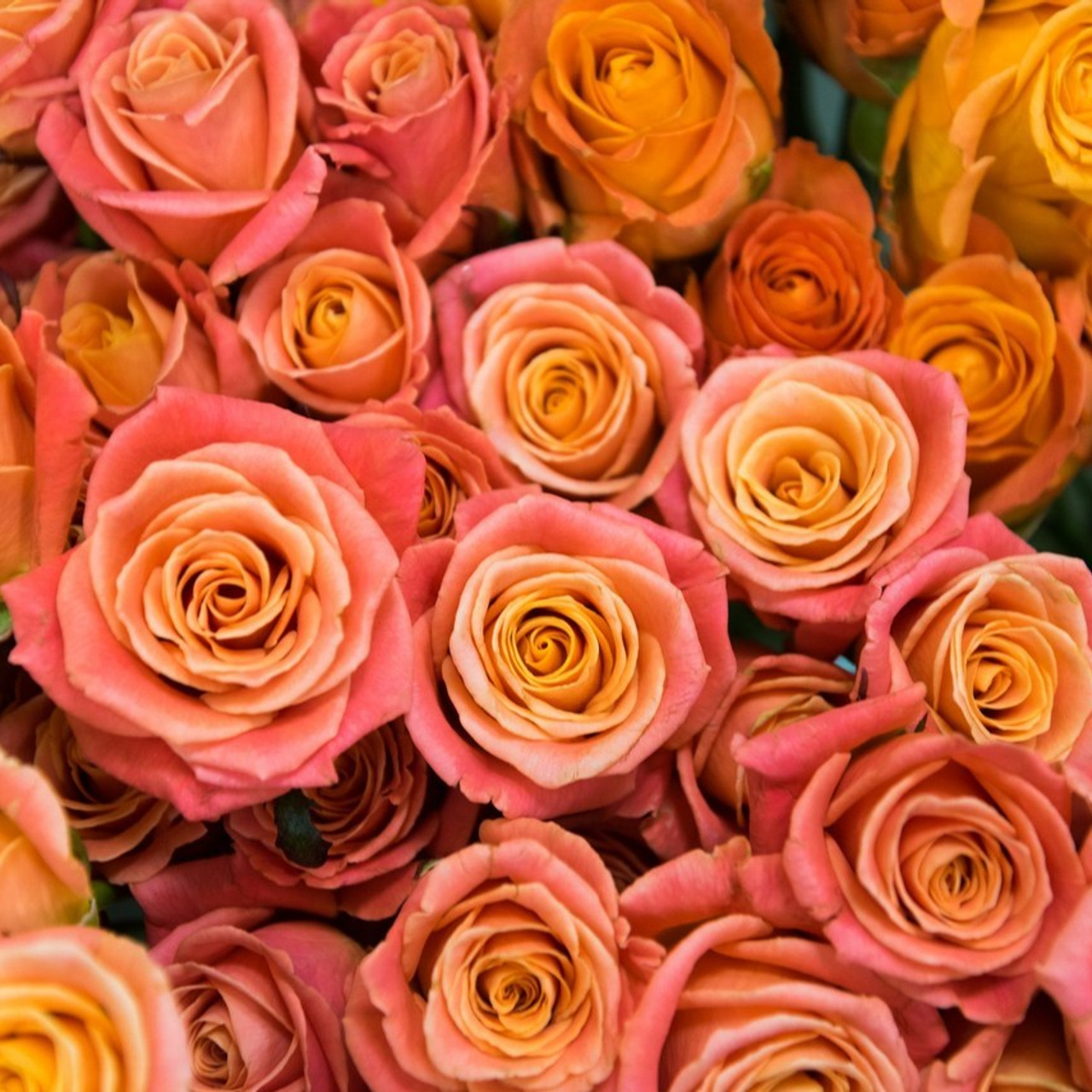 Отзывы. Фотограф в Ульяновске.Ольга Доловова.Репортажная, предметная, индивидуальная фотосъемка