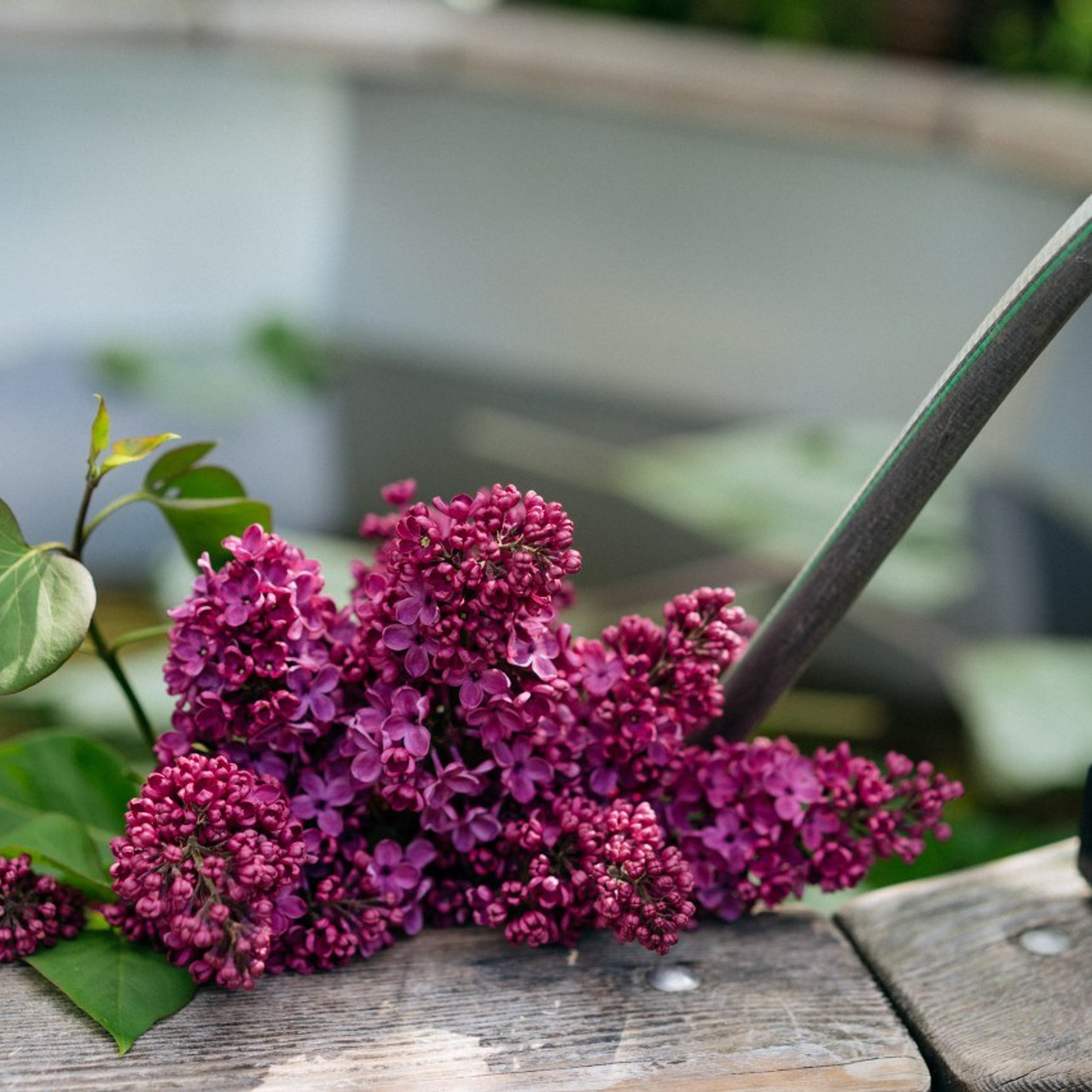 Отзывы. Свадебный и семейный фотограф в Калининграде Анастасия Гриценко