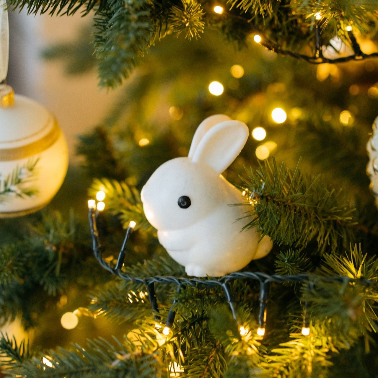 Отзывы. Свадебный и семейный фотограф в Калининграде Анастасия Гриценко