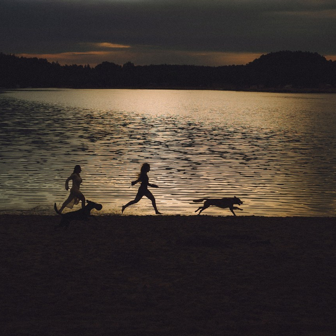 Отзывы о работе фотографа-анималиста или зоофотографа, Москва