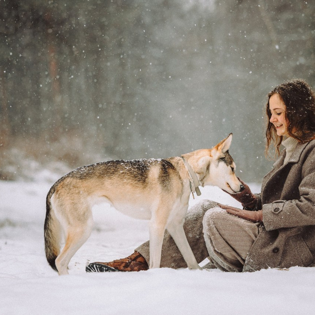 Отзывы о работе фотографа-анималиста или зоофотографа, Москва