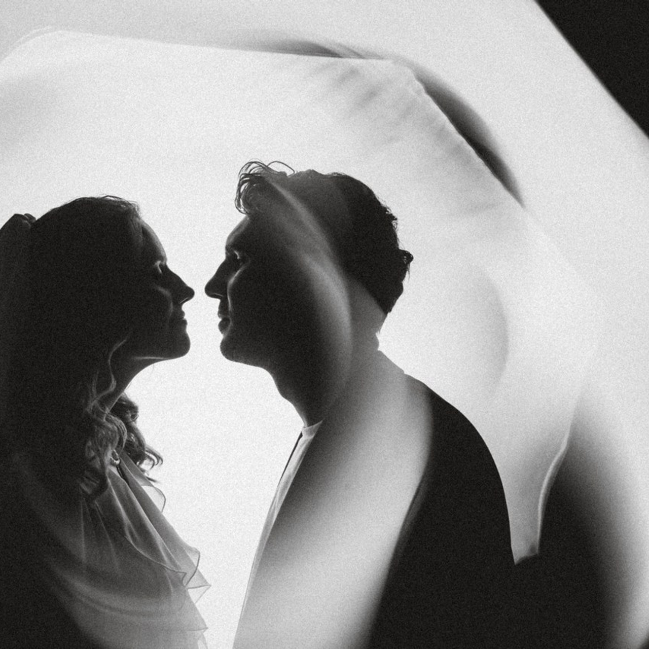 Отзывы о работе фотографа-анималиста или зоофотографа, Москва