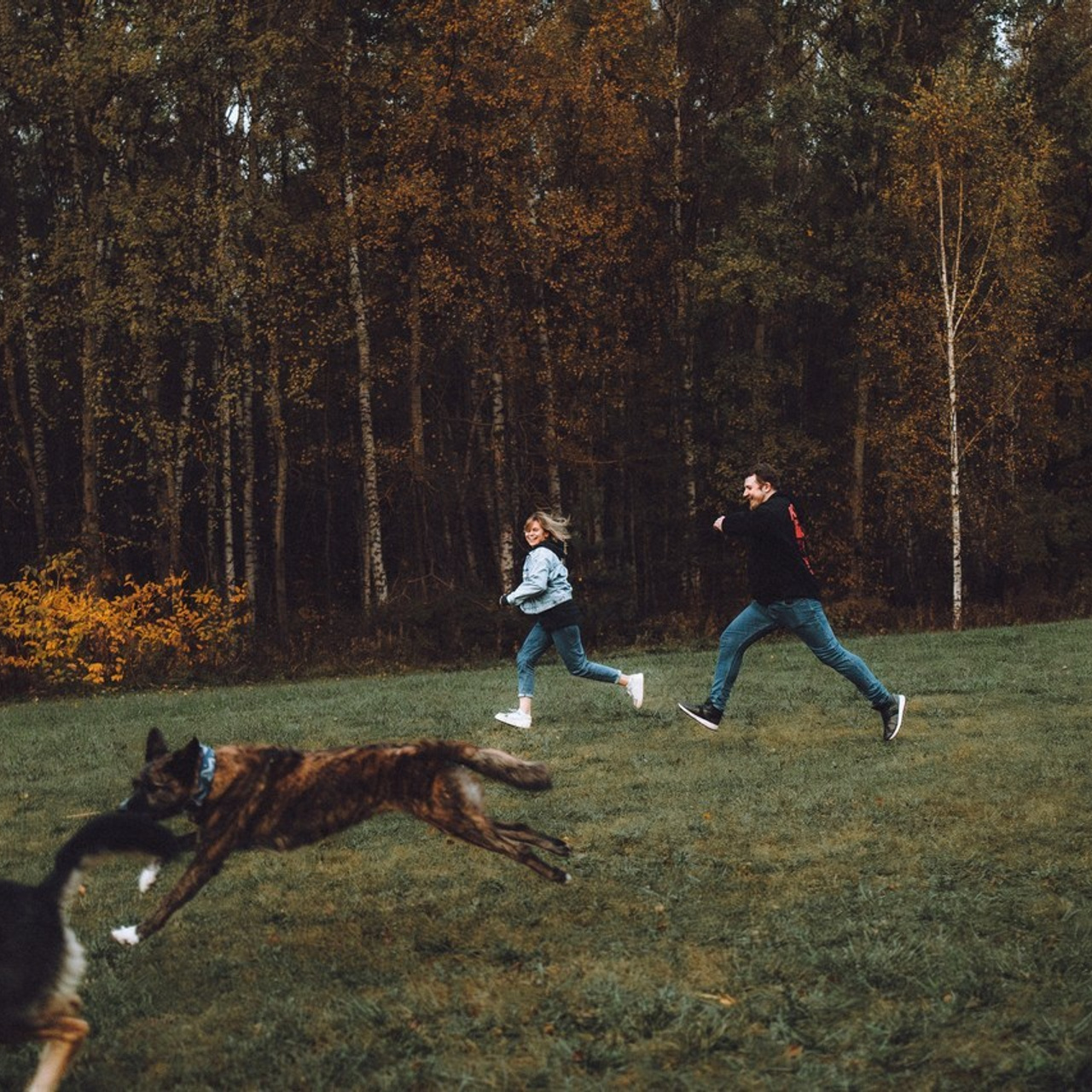 Отзывы о работе фотографа-анималиста или зоофотографа, Москва