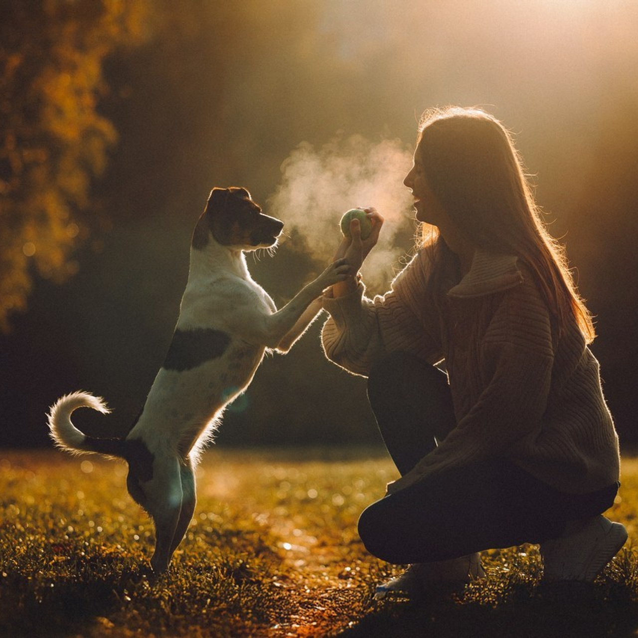 Отзывы о работе фотографа-анималиста или зоофотографа, Москва