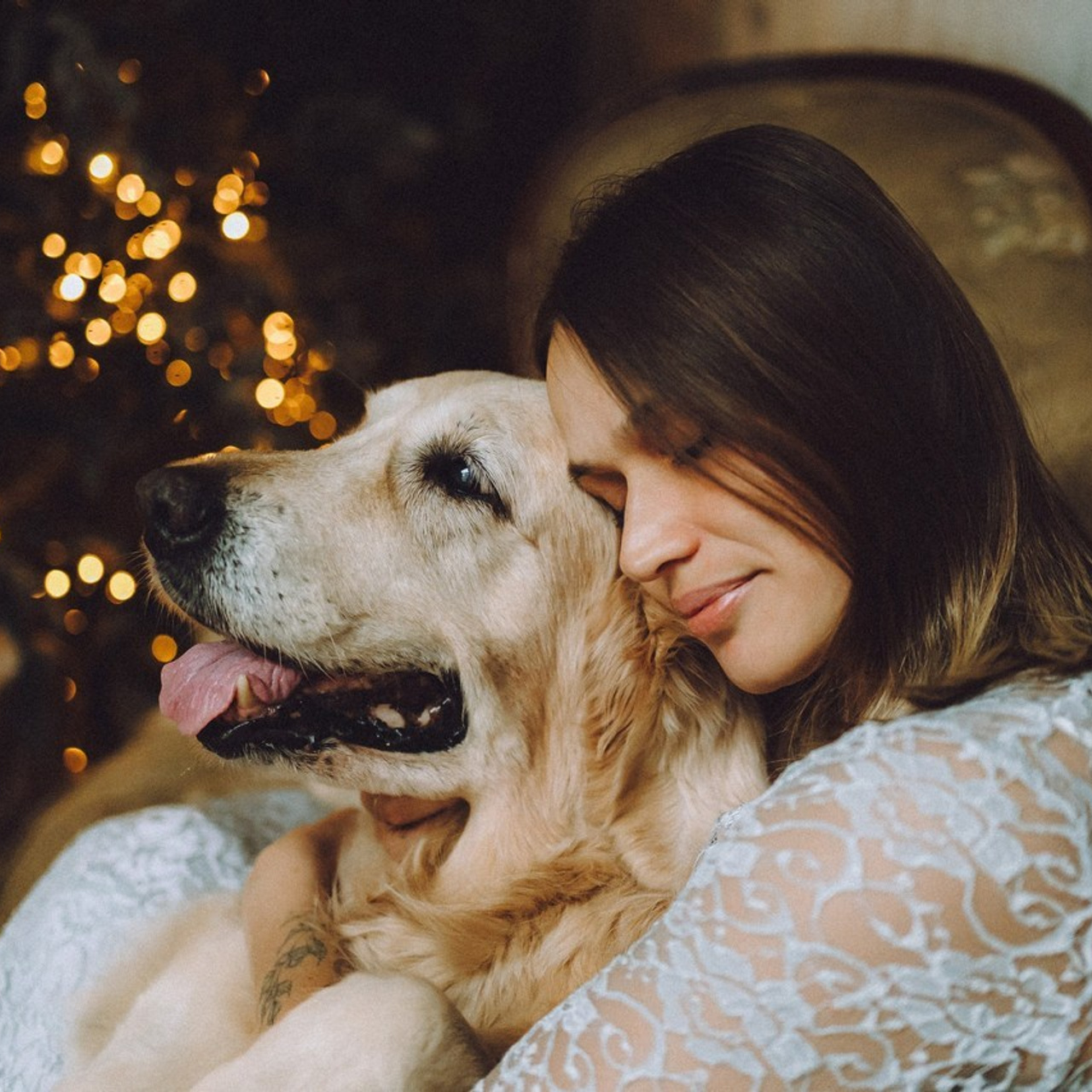 Отзывы о работе фотографа-анималиста или зоофотографа, Москва