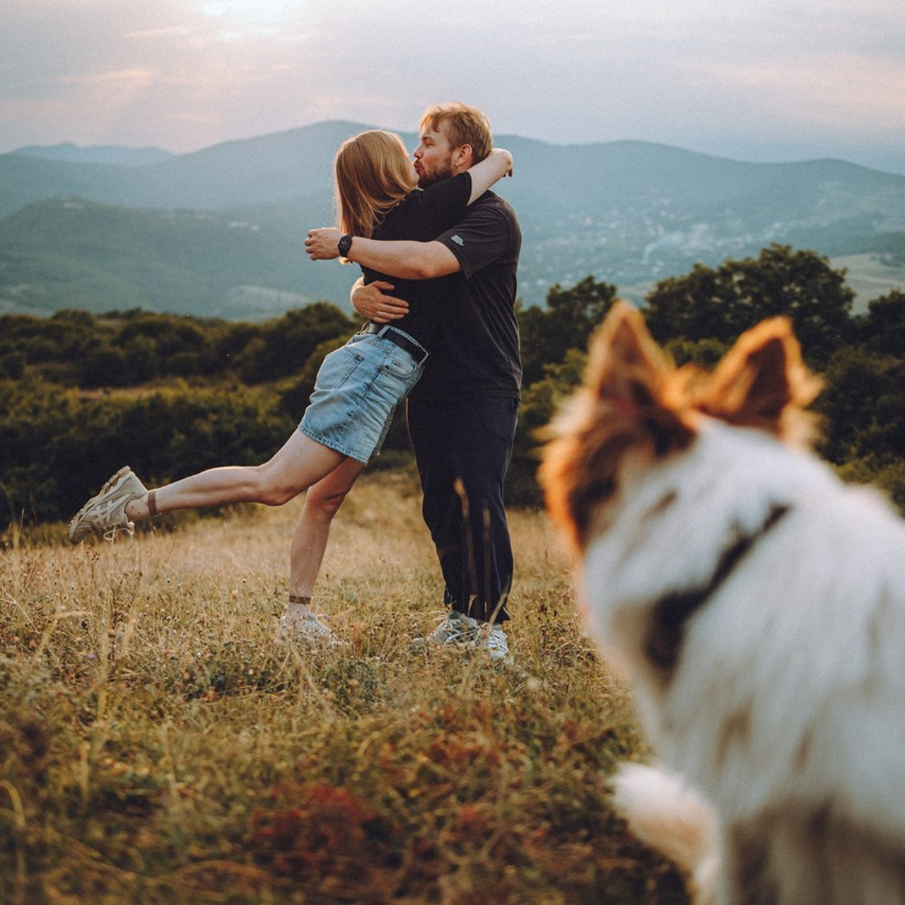 Отзывы о работе фотографа-анималиста или зоофотографа, Москва