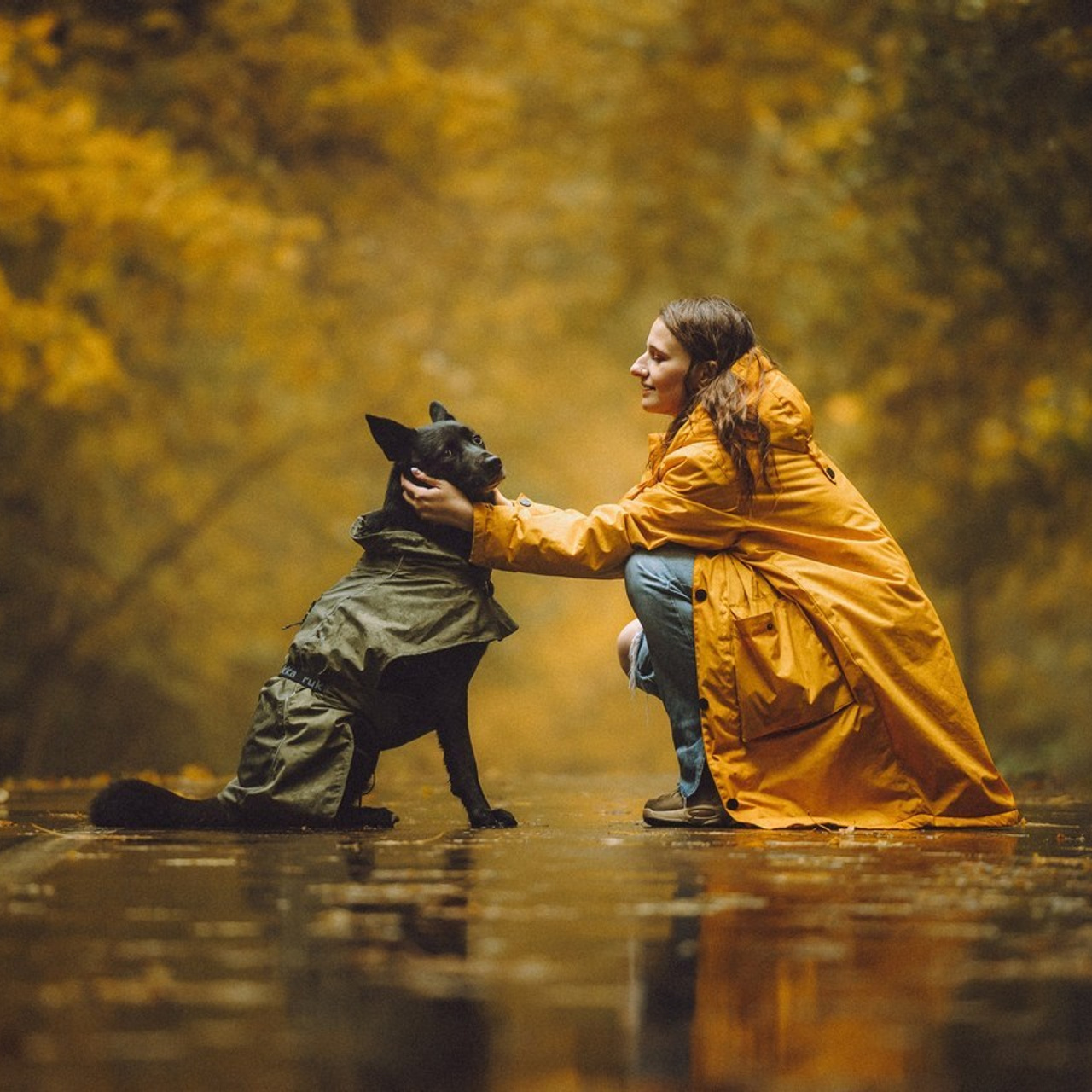 Отзывы о работе фотографа-анималиста или зоофотографа, Москва