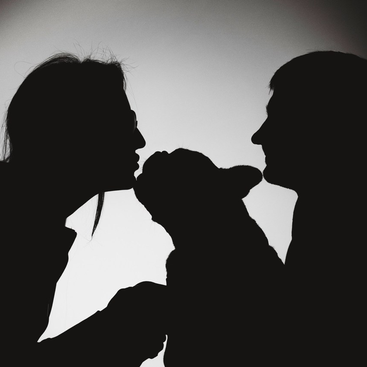 Отзывы о работе фотографа-анималиста или зоофотографа, Москва