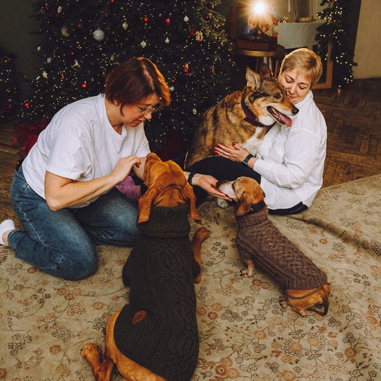 Отзывы о работе фотографа-анималиста или зоофотографа, Москва