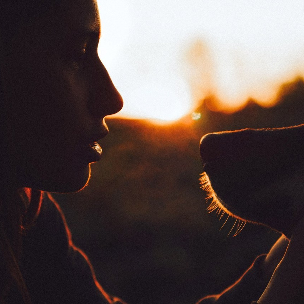 Отзывы о работе фотографа-анималиста или зоофотографа, Москва