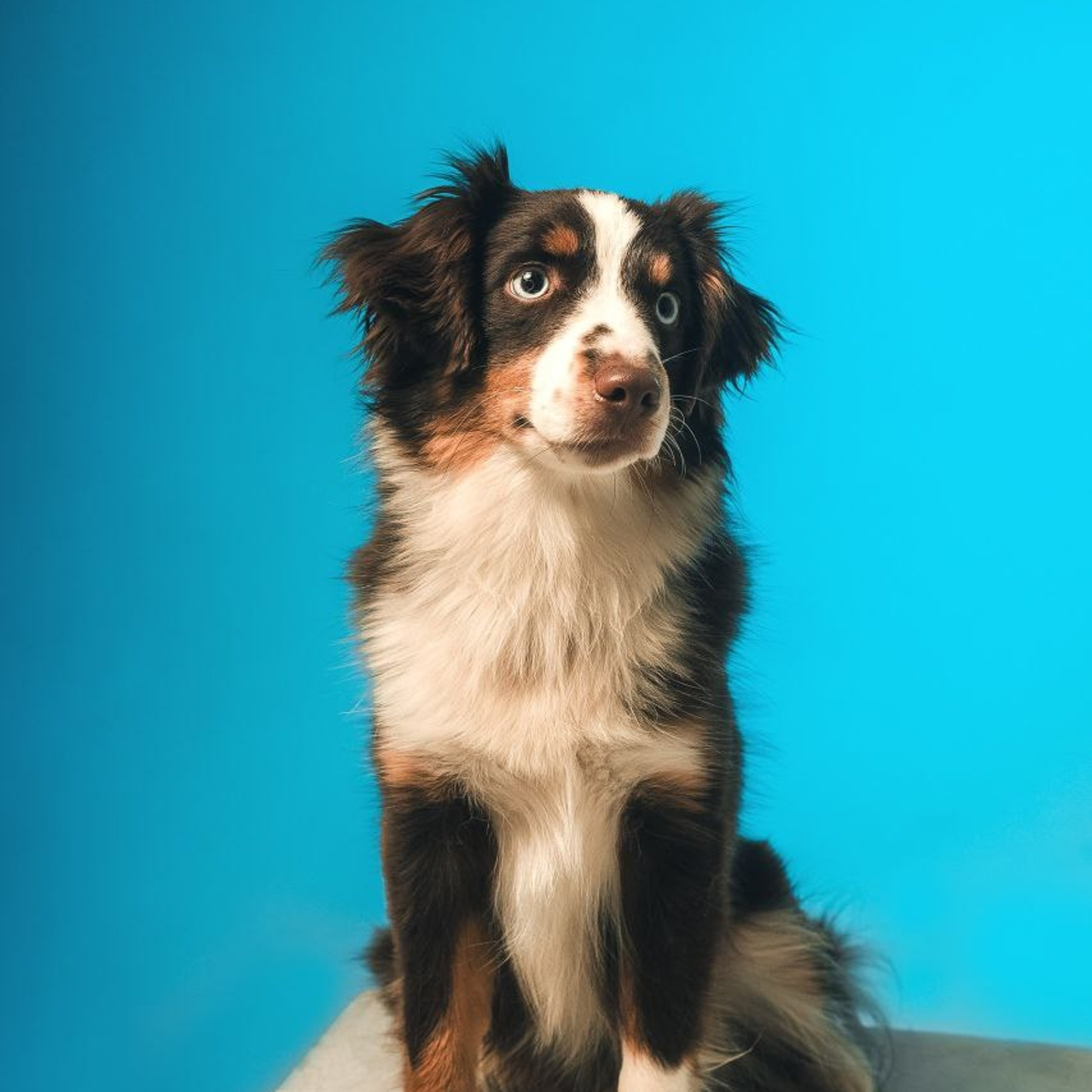 Воркшоп по импульсному свету