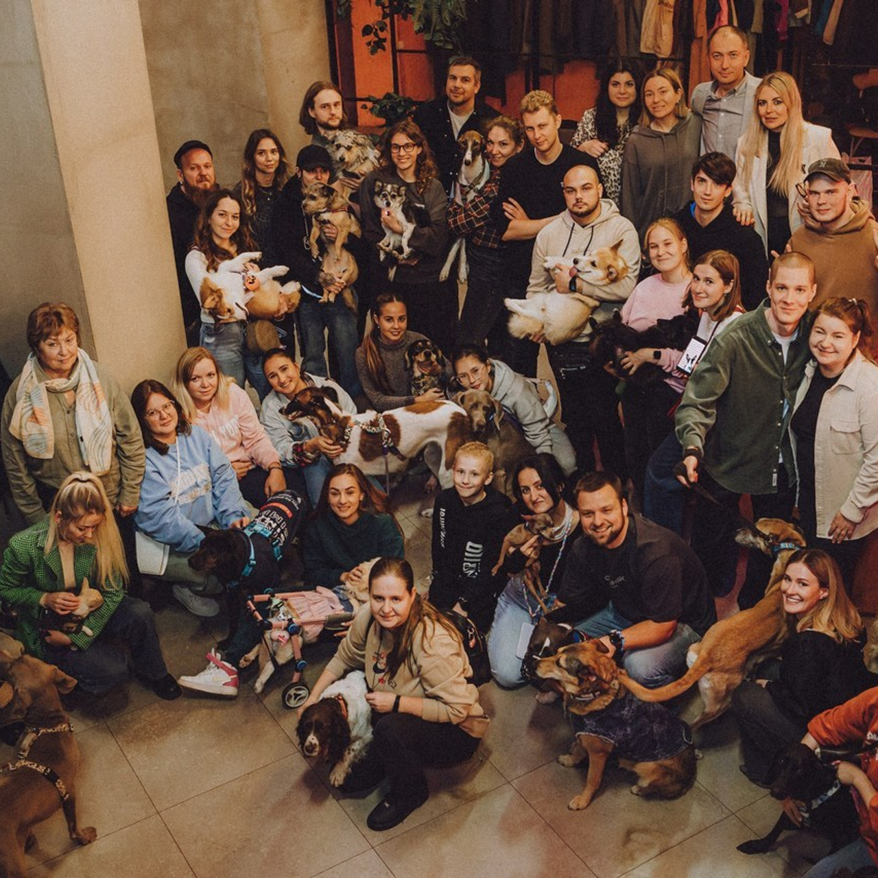 Отзывы о работе фотографа-анималиста или зоофотографа, Москва