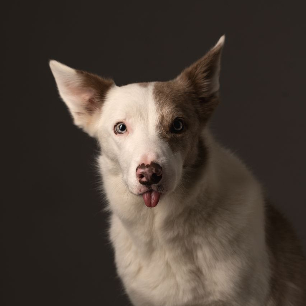 Воркшоп по импульсному свету