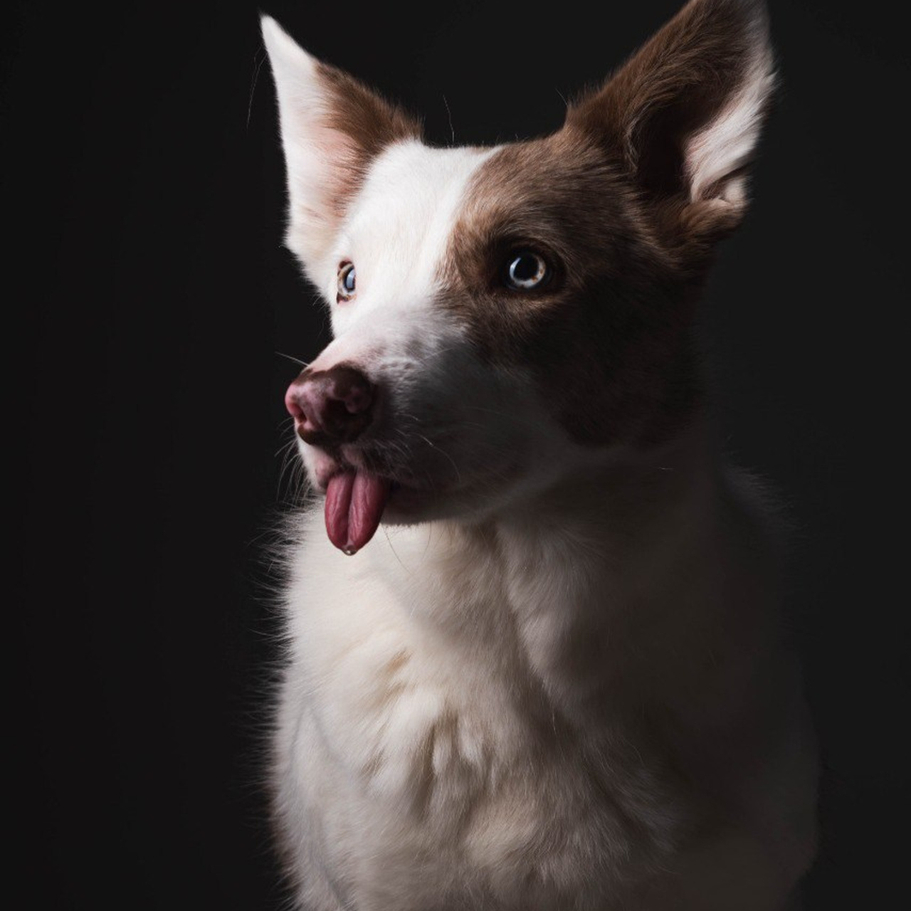 Воркшоп по импульсному свету