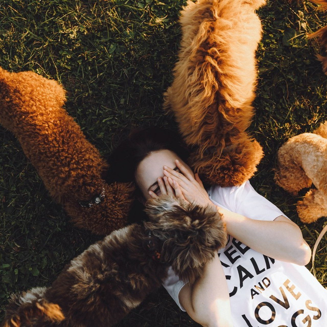 Отзывы о работе фотографа-анималиста или зоофотографа, Москва