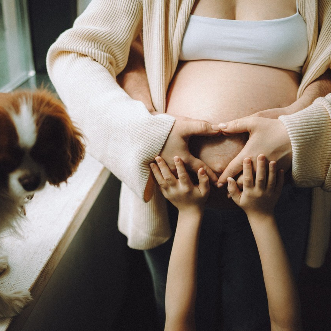 Отзывы о работе фотографа-анималиста или зоофотографа, Москва